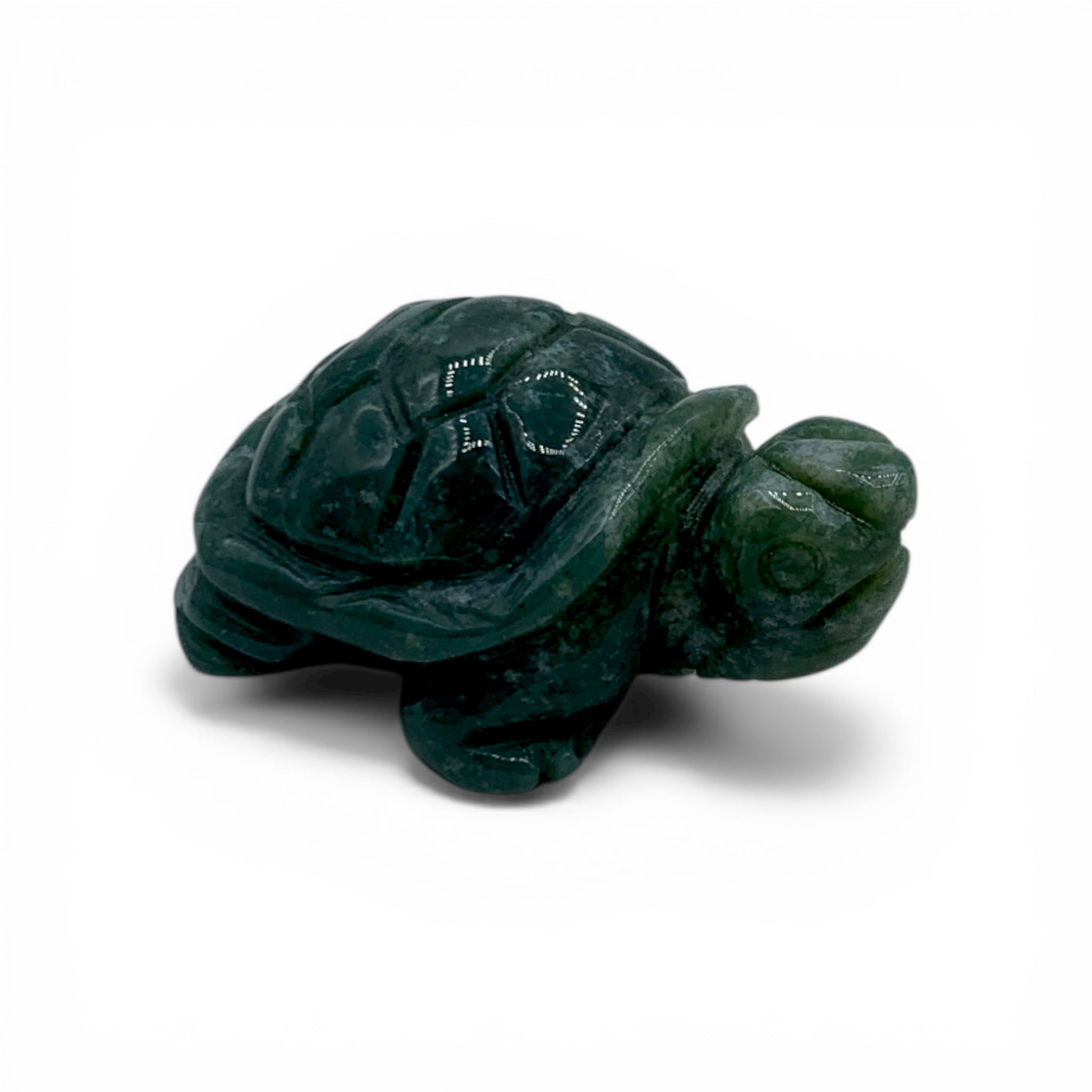 Agate - Moss Turtle $50